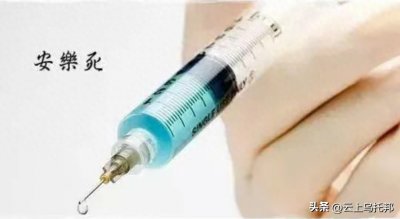 ​“安乐死”没有痛苦？别看走的很安详，实则身心也会遭受痛苦