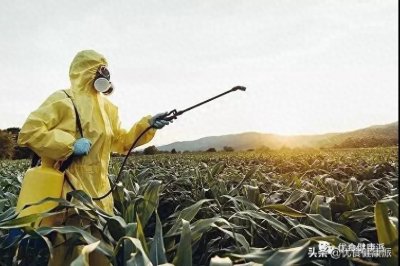 ​十分钟！让你知道优食净食机是个啥！