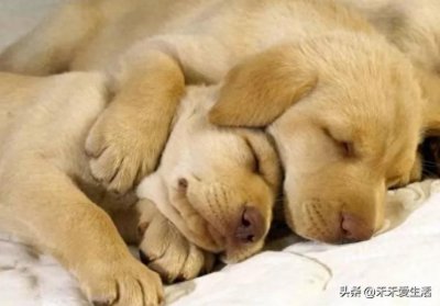 ​孔彦舟——地痞出身，从军叛国投敌，强娶亲生女儿为妾