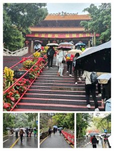 ​深圳这个公园，被称为深圳的“绿肺”！！