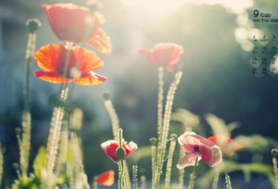 ​关于人生格言励志短句 个人格言简短一句话霸气