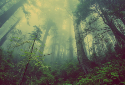 ​关于女人坚持下去的励志句子