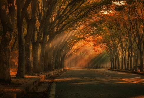 1702350165319703.png image.png