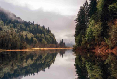 ​关于祝贺升职加薪的励志语录