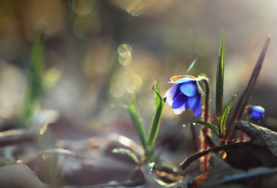 ​关于责任的名言 关于工作励志名言