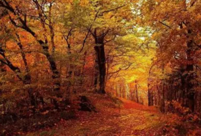 ​求婚表白一句话，求婚表白的话(69句)