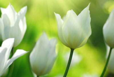 ​抖音上很火的励志句子