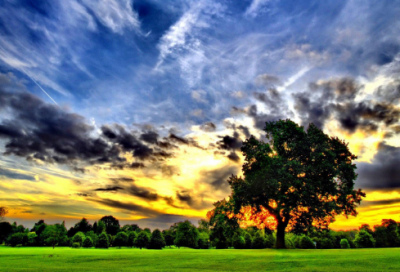 ​关于坚持的名言 坚持不懈的句子 励志