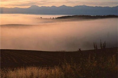 ​表达爱情的唯美的句子 爱情的句子唯美短句(精选80句)