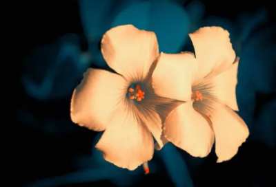 ​关于让自己坚持下去的励志说说