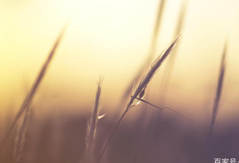 1710982984586103.png image.png