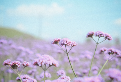 ​肖战说过的所有经典语录 肖战励志语录经典短句