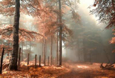 ​关于忙碌充实的生活励志说说