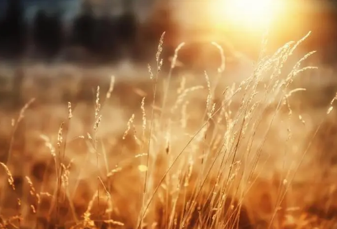 1710979826319700.png image.png