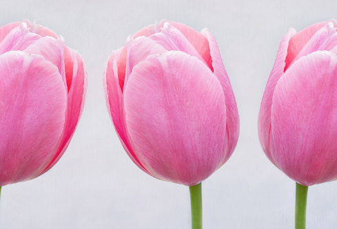 1710978497755444.png image.png