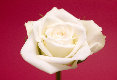 1710980491880656.png image.png