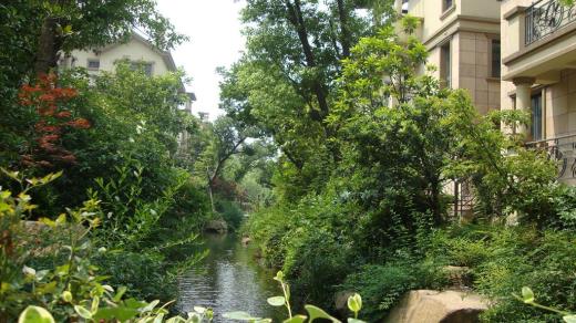 对女孩子表白最感动人的话