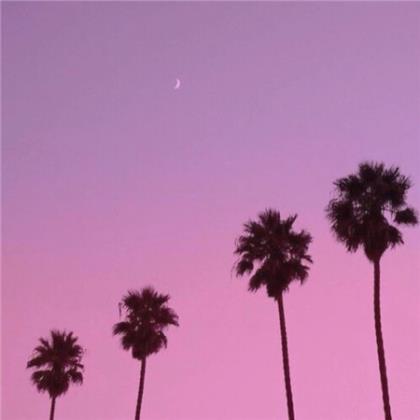 对女孩子表白最感动人的话