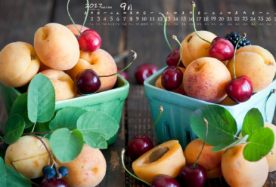 ​晚安的撩人情话短句，最撩人的晚安浪漫情话(58句)