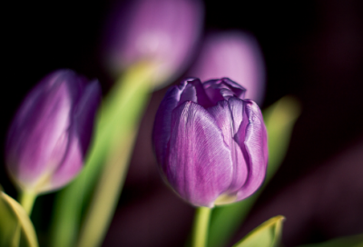​努力奋斗励志的句子 为目标努力奋斗的句子