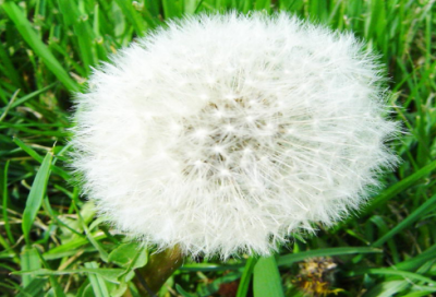 ​精辟的励志句子大全 正能量短句