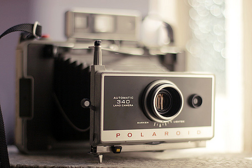 狗年祝福爱情104句