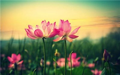 ​想孩子的心情说说短语(说说励志短语人生感悟)