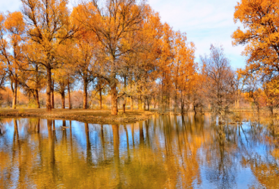 ​写爱情的歌词大全【推荐47句】