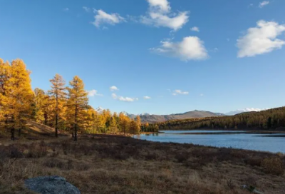 ​浪漫爱情语句50句，浪漫爱情短语集合(70句)