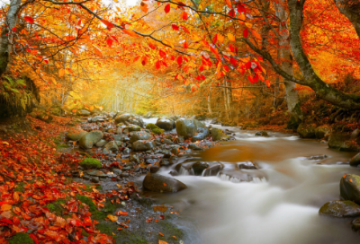 ​感动爱情短信大全，最新的爱情短信大全(精选35句)