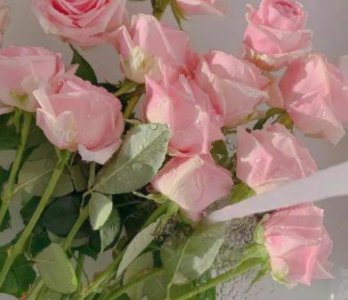 ​爱情执着的句子