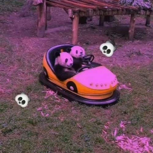 温暖感动的唯美句子