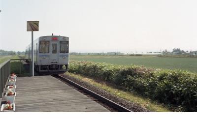 qq说说爱情短句带图片