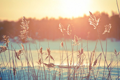 情侣暧昧话语56句