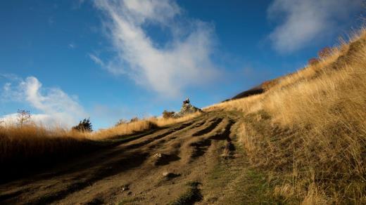 写给女朋友的情话短句