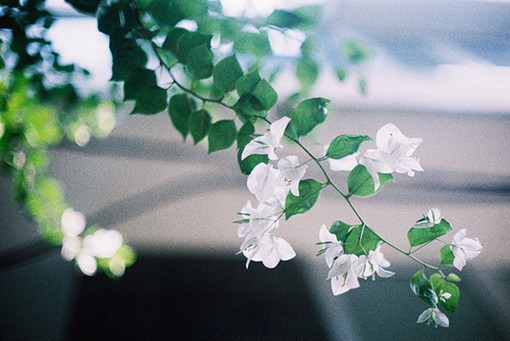 软萌甜炸的短句情话55句