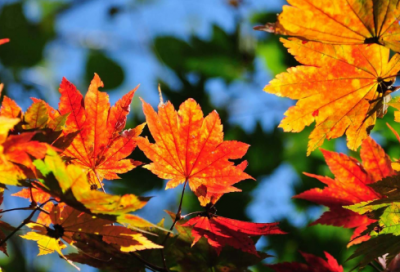 ​被喜欢的男生拒绝了怎么挽回,表白被拒绝怎么办(60句)