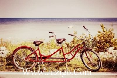 ​抖音很火的情话短句大全撩妹土味情话套路(精选35句)