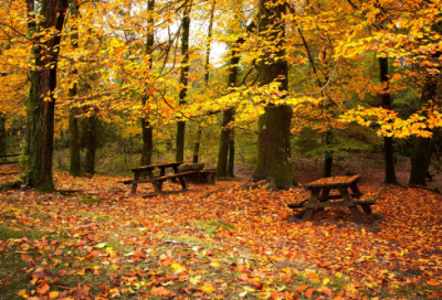 ​浪漫的幽默短信大全，爱情幽默短信(59句)