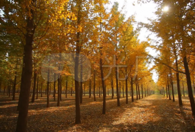 ​情侣空间爱情小屋名称(优秀)