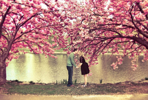 1687452923775823.png image.png