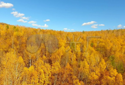 ​喊麦表白麦词大全(推荐44句)