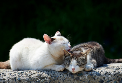 ​情话撩人句子（比较新颖的撩人情话，甜而不腻，让人心动不已）