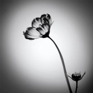 ​鼓励人勤奋努力的句子