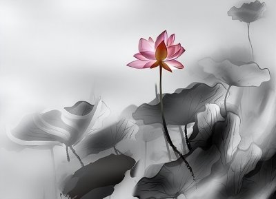 ​鼓励读书的唯美句子(鼓励阅读的好处名句)