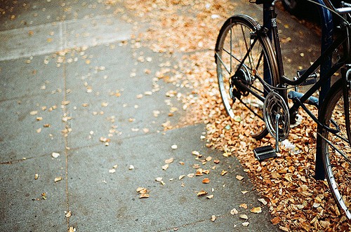 早安撩人情话短句 一句话精致早安高情商问候语(81句)