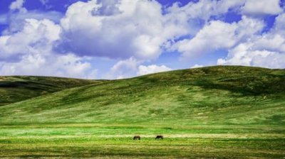 ​有诗意的话委婉表达爱意