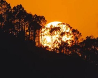 ​最新高级土味情话短句最暖心话集锦28句