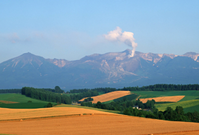 ​爱情数字代表的意思大全【经典58句】