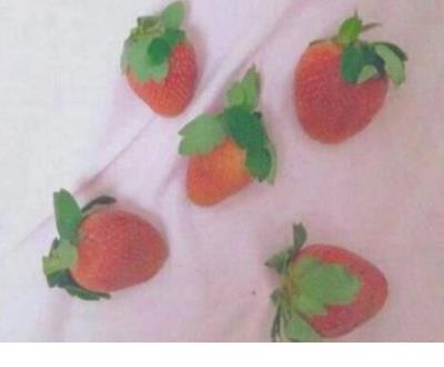 向往爱情的个性签名句子